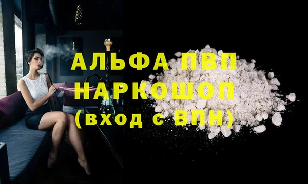 хмурый Шали