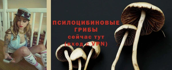 Альфа ПВП Заволжье