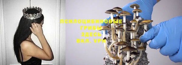 таблы Шарыпово