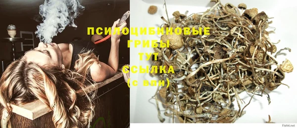 хмурый Шали