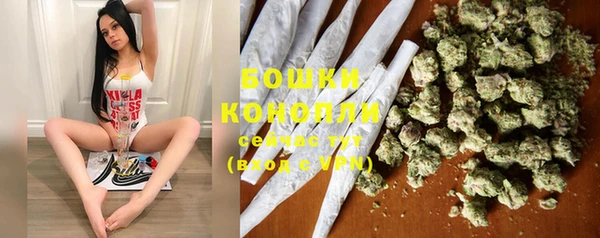 PSILOCYBIN Заволжск
